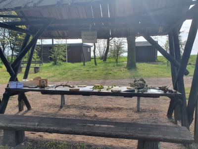 Naturprojekt 2